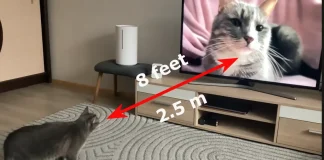 Відстань перегляду 65-дюймового телевізора